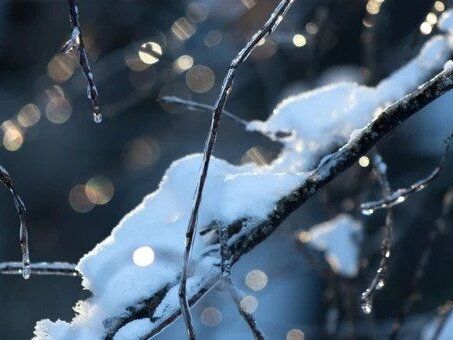 psicologo psicoterapeuta Catania: difficoltà di comunicazione e relazione